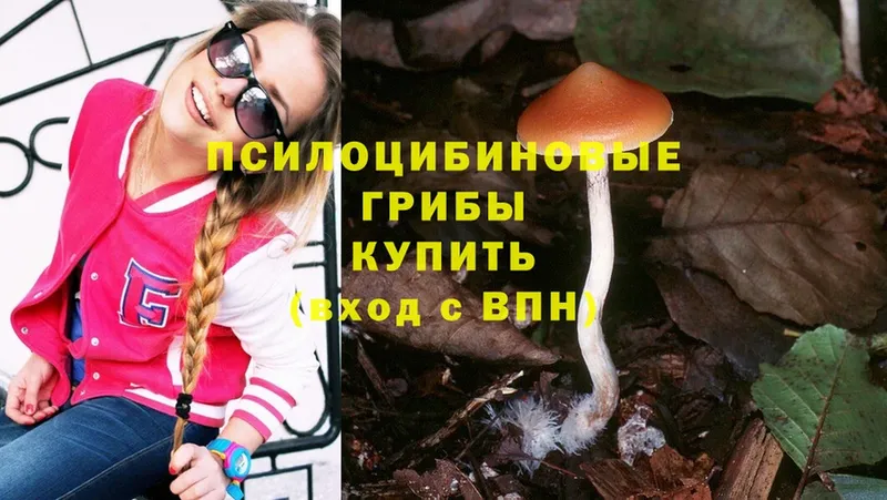 Псилоцибиновые грибы Psilocybine cubensis  даркнет сайт  Крымск 